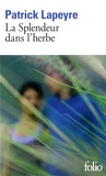 Patrick Lapeyre - La Splendeur dans l'herbe.