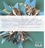 Jean-Charles Trebbi - L'art du livre origami.