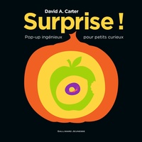 David-A Carter - Surprise !.
