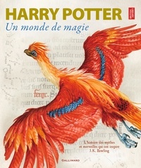  British Library - Harry Potter - Un monde de magie.