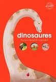 Emmanuelle Lepetit et Sylvie Bessard - Dinosaures - Pourquoi étaient-ils si grands ? Avec + de 40 volets à soulever.