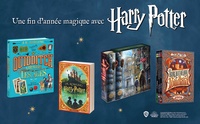 Le grand livre pop-up du Chemin de Traverse. D'après les films Harry Potter