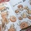 Mika Song - Norma et Belly écureuils dégourdis Tome 1 : Donuts à gogo.