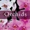 Michel Viard - Orchids - Edition en anglais.