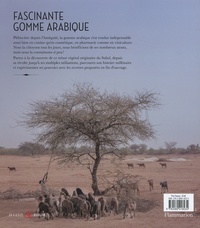 Les secrets de la gomme arabique. Histoire, usages et recettes