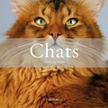 Claude Pacheteau - Chats Coffret en 2 volumes : Histoires de chats ; Les plus beaux chats.