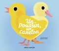 Anne Fronsacq et Sébastien Pelon - Un poussin, un caneton.