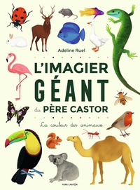 Adeline Ruel - L'Imagier géant du Père Castor - La couleur des animaux.