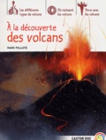 Marc Pelloté - A la découverte des volcans.