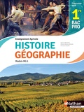 Anne-Marie Lelorrain et Louis Larcade - Histoire et Géographie Module MG 1 1re Bac pro enseignement agricole.