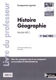 Anne-Marie Lelorrain et Louis Larcade - Histoire Géographie 1re Bac Pro Module MG1 - Livre du professeur.