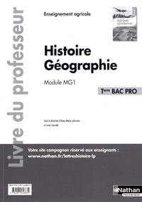 Anne-Marie Lelorrain et Louis Larcade - Histoire Géographie Tle Bac Pro Module MG1 - Livre du professeur.