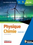Stéphane Boulet - Physique Chimie 1re/Tle Bac Pro Groupement 1.
