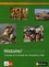 Rainer Bendick et Peter Geiss - Histoire/Geschichte Manuel d'histoire franco-allemand - Tome 1, L'Europe et le monde de l'Antiquité à 1815.