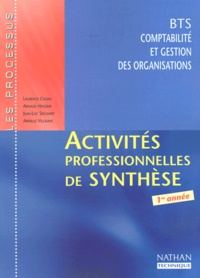 Armelle Villaume et Jean-Luc Siegwart - Activites Professionnelles De Synthese Bts Cgo 1ere Annee.
