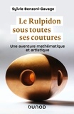 Sylvie Benzoni-Gavage - Le Rulpidon sous toutes ses coutures - Une aventure mathématique et artistique.