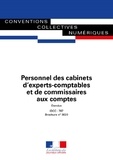  Journaux officiels - Personnel des cabinets d'experts-comptables et de commissaires aux comptes - N°3020.