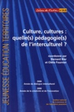 Bernard Bier et Clélia Fournier - Culture, cultures : quelle(s) pédagogie(s) de l'interculturel ?.