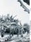  Documentation française - Revue historique des armées N° 312 : 1944-1954 - Variations d’intensité et adaptations dans l’armée française.