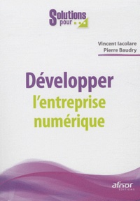 Pierre Baudry et Vincent Iacolare - Développer l'entreprise numérique.