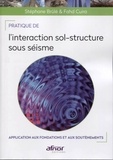 Stéphane Brûlé et Fahd Cuira - Pratique de l'interaction sol-structure sous séisme - Application aux fondations et aux soutènements.