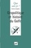 Charles Zorgbibe - GEOPOLITIQUE ET HISTOIRE DU GOLFE. - 2ème édition mise à jour.