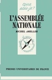 Michel Ameller - L'Assemblée nationale.