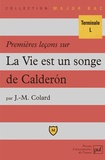 Jean-Max Colard - Premières leçons sur "La vie est un songe" de Calderon.