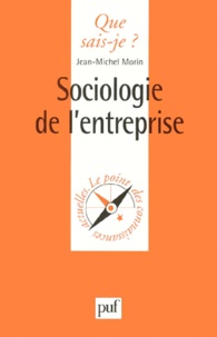 Jean-Michel Morin - Sociologie de l'entreprise.