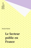Michel Refait - Le secteur public en France.