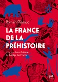Romain Pigeaud - La France de la Préhistoire.