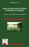 Andrés Guzman-Sala - Innovations dans le secteur touristique au Mexique - Le Tabasco : analyse opérationnelle et perspectives.