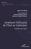 David Abouem A Tchoyi et Stéphane Claude M'Bafou - Améliorer l'efficacité de l'Etat au Cameroun - Propositions pour l'action.