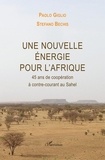 Paolo Giglio et Stefano Bechis - Une nouvelle énergie pour l'Afrique - 45 ans de coopération à contre-courant au Sahel.