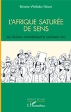 Birame Waltako Ndiaye - L'Afrique saturée de sens - Les illusions immobilisent le continent noir.