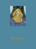 David Sala - Portfolio de 20 reproductions en édition limitée.
