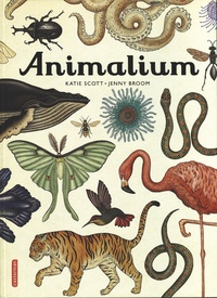 Jenny Broom et Katie Scott - Animalium.