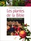 Christophe Boureux - Les plantes de la Bible et leur symbolique.
