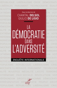  Collectif Clairefontaine et  DELSOL CHANTAL - La démocratie dans l'adversité - Enquête internationale.