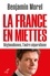  MOREL BENJAMIN - LA FRANCE EN MIETTES - REGIONALISMES, L'AUTRE SEPARATISME.