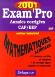A Pipaud et Jean-Charles Juhel - Mathematiques Sciences Physiques Cap/Bep Secteur Industriel. Annales Corrigees 2001.