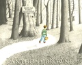 Anthony Browne - Dans la forêt profonde.