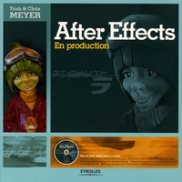 Trish Meyer et Chris Meyer - After Effects - En production. 1 DVD