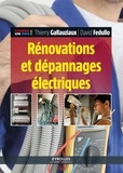 Thierry Gallauziaux et David Fedullo - Rénovations et dépannages électriques.