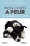 Edith Beaumont-Graff et Nicolas Massal - Mon chien a peur - Mieux le comprendre et l'apaiser au quotidien.