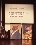 Esmeralda Lladser - A rebrousse-poil sous le ciel de Shanghai.