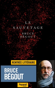 Bruce Bégout - Le sauvetage.