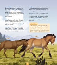 Tout savoir sur les chevaux et poneys