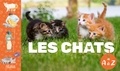 Anouk Journo et Victoria Denys - Les chats de A à Z.