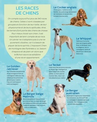 Les animaux familiers